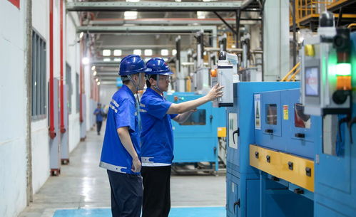 新興產(chǎn)業(yè)潮頭立,馬邊三重賦能奏響工業(yè)振興強音