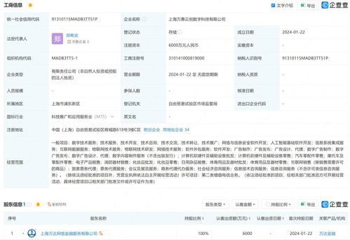 萬達在上海成立數字科技公司 布局互聯(lián)網銷售與基礎軟件服務
